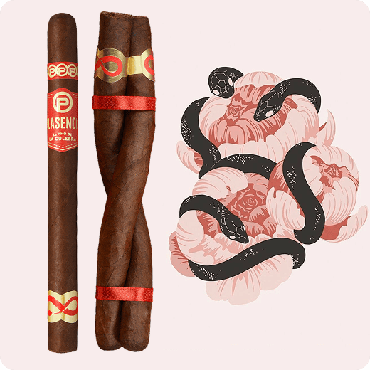 Plasencia Year of the Snake